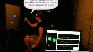 Smooth Pursuit with Virtual Reality and Haptic feedback [upl. by Leemaj387]