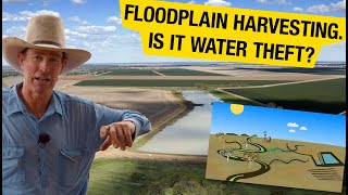 Floodplain Harvesting  a disaster for the rivers amp wetlands of the MurrayDarling Basin [upl. by Dnalor]