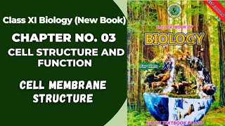 Ch 3 Cell Structure and function  Cell Membrane  Plasma membrane  Class 11 biology  Sindh board [upl. by Kaenel]