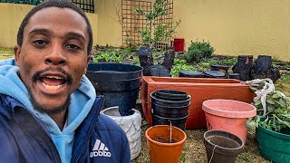 Container Gardening The Different Types Crops To Grow amp How to get Started Gardening South Africa [upl. by Yelnahs]