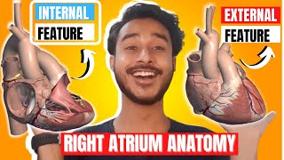 Right atrium anatomy  External and internal features of right atrium [upl. by Ayet250]