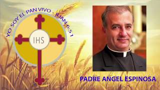 Padre Ángel Espinoza de los Monteros Congreso Eucarístico de la Diócesis de Charlotte 2018 [upl. by Haret262]