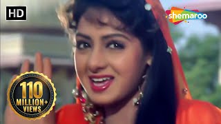 Mere Dil Ki Galiyon HD  Banjaran Songs  Rishi Kapoor  Sridevi  Alka Yagnik  Suresh Wadkar [upl. by Hakaber665]