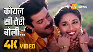 Koyal Si Teri Boli 4K Video  कोयल सी तेरी बोली  Beta Movie Song  Anil Kapoor Madhuri Dixit [upl. by Wilda]