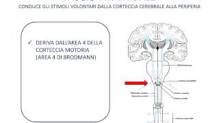 23 Vie discendenti [upl. by Pavia]