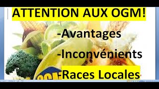 Attention aux OGM Danger pour la race locale [upl. by Yde]