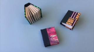 Mini Accordion Book [upl. by Candide158]