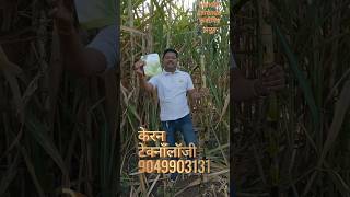 Transforming Indian Sugar Cane Farming The Power of Karyon Organic [upl. by Notnerb]