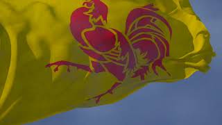 Waving flag and Regional Anthem of Wallonia quotLe Chant des Wallonsquot [upl. by Olimreh586]