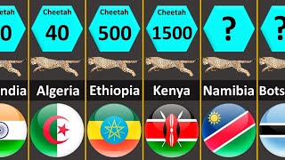 How many Cheetahs are left in the world  Cheetah Population By Country 2022  Speed Of Cheetah [upl. by Suicul]