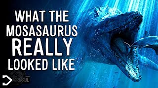 What Did The Mosasaurus REALLY Look Like [upl. by Eleph672]