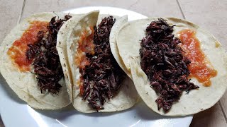 Como preparar chapulines con Chile Habanero  Las Delicias de Lupita [upl. by Fesuy]