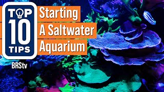 Top Simple Beginner Tips For Starting A Saltwater Reef Aquarium Setup [upl. by Eicrad]