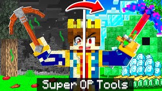 Minecraft But YOU CAN TRANSFORM SUPER OP TOOLS [upl. by Ellinehc]