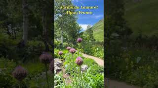 Jardin du Lautaret Explore the Alpine Garden of Wonders travel virtualwalktour virtualwalk [upl. by Rapp]