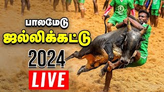 🔴பாலமேடு ஜல்லிக்கட்டு நேரலை  Jallikattu Live 2024  Palamedu [upl. by Nellahs480]