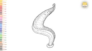 Leech science diagram easy  How to draw A Leech step by step  Science diagram [upl. by Toni408]