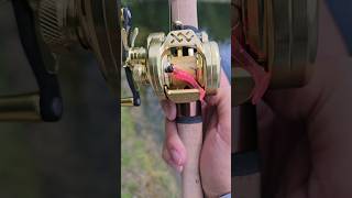 Ultimate Ultralight Baitcasting Reel with DC Braking fishing [upl. by Byrann]