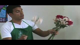 quotGRATISquot CURSO BASICO DE FLORISTERIA [upl. by Jewel215]