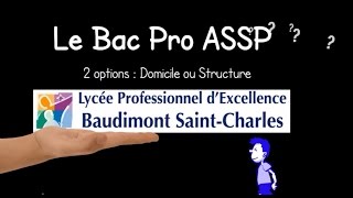 le bac pro ASSP présentation en 2min30 [upl. by Sibella384]