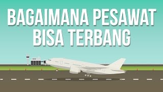 Kenapa Pesawat Bisa Terbang [upl. by Hedva]