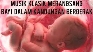 MUSIK KLASIK UNTUK IBU HAMIL MERANGSANG BAYI BERGERAK DALAM KANDUNGAN [upl. by Ehcar]