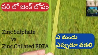 వరి లో జింక్ లోపం  Zinc sulphate vs Zinc chilated EDTA ఎప్పుడు వడలి  zinc fertilizer [upl. by Connett965]