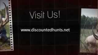 Discounted hunts video with views of great elk hunt trophies [upl. by Nymzaj73]