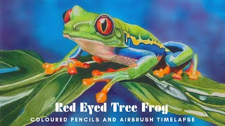 Red Eyed Tree Frog  Coloured Pencils amp Airbrush Time Lapse [upl. by Acireed]