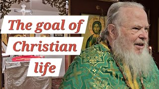 The goal of our Earthly lives  Orthodox Sermon [upl. by Chico]