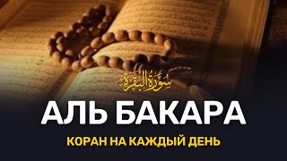 СУРА КАХФ КАЖДУЮ ПЯТНИЦУ [upl. by Nosdivad]