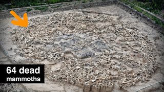 What are these enormous piles of Mammoth bones [upl. by Dannie]