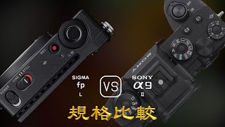 Sigma fp L 與 Sony A9 II 的規格比較 [upl. by Farrison]