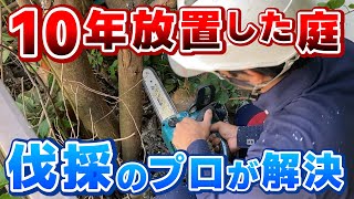 【庭木の伐採】10年放置した荒れ放題の庭をリセット！植木のプロのチェーンソー捌きが気持ち良い作業解説＜爽快ビフォーアフター＞｜神奈川 [upl. by Lapham]