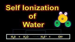 Self Ionization of Water Class 10 Chemistry  Auto Ionization of Water  Acids Bases and Salts [upl. by Burnight561]