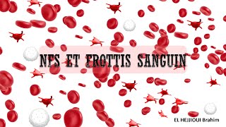 Analyse médicale NFS et Frottis sanguin [upl. by Waxman102]