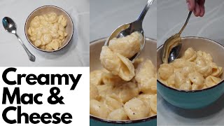 THE BEST MAC amp CHEESE  Easy Stovetop Recipe [upl. by Kilgore137]