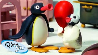 Pingu and his little sister Pinga 🐧  Pingu  Official Channel  Cartoons For Kids [upl. by Leik954]