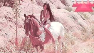 Cher HalfBreed Lyrics [upl. by Cirda]