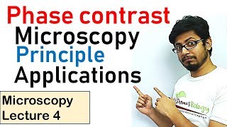 Phase contrast microscopy principle and working [upl. by Rubia]