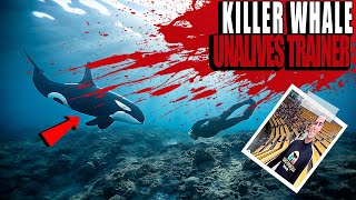 Why is this killer whale KILLING trainers [upl. by Iteerp]