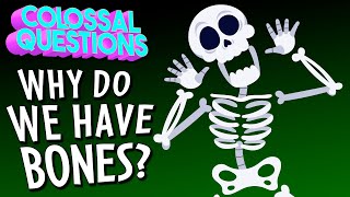 Why Do We Have Bones  COLOSSAL QUESTIONS [upl. by Alphonso]