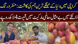 Why Miyazaki Mangoes Are So Expensive  International Market Price Produced in Karachi  92NewsHD [upl. by Tavi]