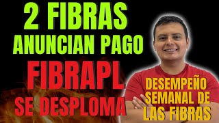 Desempeño Semanal de las FIBRAS  2 FIBRAS Anuncian Pago Fibra Prologis FIBRAPL14 Se Desploma [upl. by Lord]