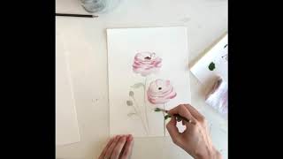 Painting How To A Ranunculus Flower [upl. by Ramsa545]