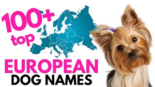 Top 100 EUROPEAN Dog names– Unique Dog Names [upl. by Snowber84]