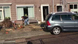 Boomstronk uit de tuin verwijderen [upl. by Buffum]