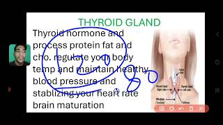 THYROID GLAND HYPOTHYROIDISM AND HYPERTHYROIDISM सबकुछ समझे एकदम आसान तरीके से [upl. by Finer]