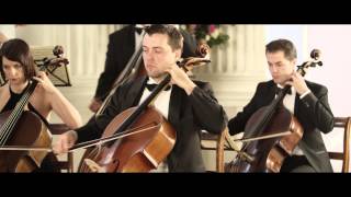 Vivaldi The Four Seasons Summer LEstate 3rd movement [upl. by Leveroni]