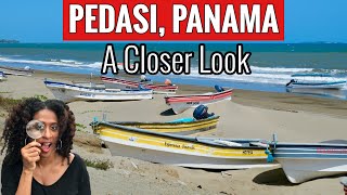 WHY MOVE TO PEDASI PANAMA  RETIRE IN PANAMA  AZUERO PENINSULA  LOS SANTOS [upl. by Atnom]